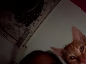 222kitty's webcam