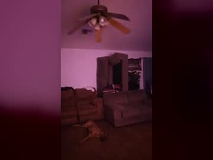 2playtease's webcam