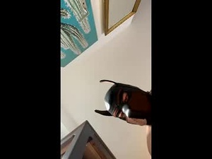 aivorabear's webcam
