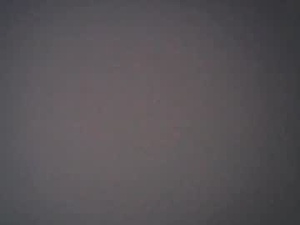 akali858390's webcam