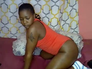 alorapavo's webcam