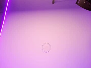 angelobellini's webcam