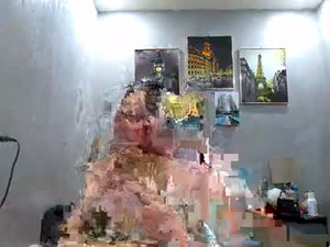annsarapkopo's webcam