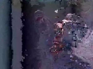 apollodams's webcam