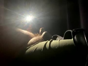 arnold7766's webcam
