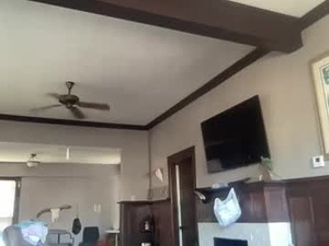 audreyandkahwaty's webcam