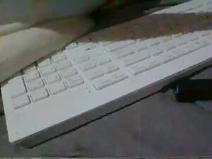 aussiemickeyy8's webcam
