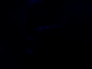 banana80's webcam