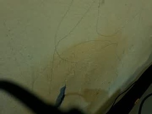 bashcara's webcam