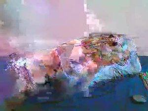 beautyamara's webcam