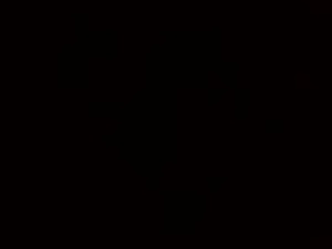 bi582945's webcam