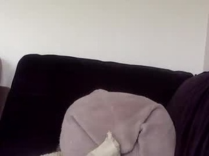 blueeyesbig86's webcam