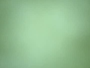 branngnu's webcam