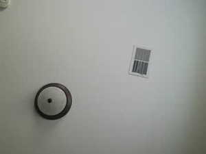 brixgold1's webcam