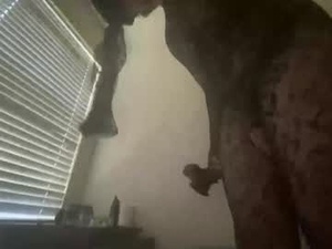 bruce139's webcam
