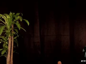 bruno___69's webcam