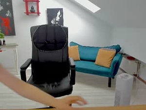 camelliastone's webcam