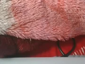 charlinah784575's webcam