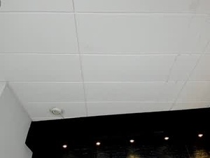 charlotte_whitee1's webcam