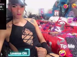 charydollts's webcam