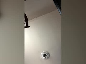 chico_amante_'s webcam