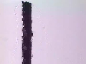 cocoalush9819's webcam