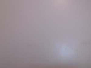 collie231's webcam