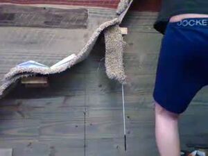 comeongirlts's webcam
