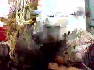 cosabella_cosie's webcam