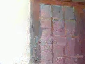 cutesexytony2460's webcam