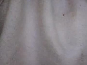 daddylovebdsm's webcam