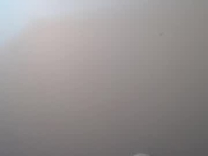 daffne_evans's webcam