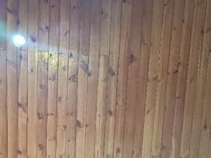dafne_girl4u's webcam