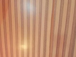 daishell_thompson_'s webcam