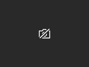 dantheman1981871566's webcam