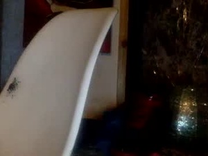 darrellthetrailerparkgod's webcam