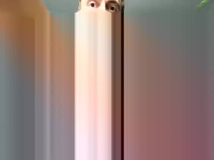 davepil29's webcam