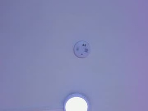 daysismith's webcam