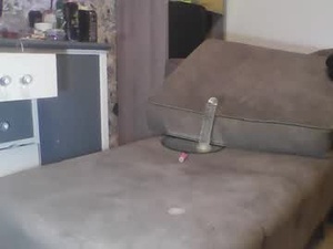 dickparceldick's webcam