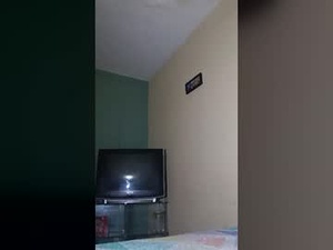 diogomomo's webcam