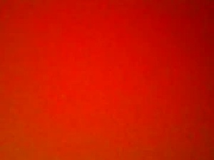 dixienormus_41's webcam