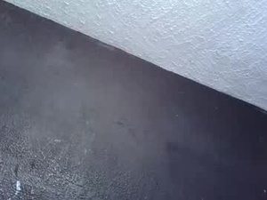 dollywdoll's webcam