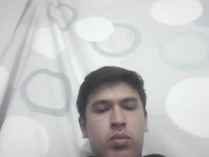 doneisen's webcam