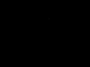 donomex's webcam