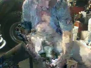dorkmeyer109019140295570585's webcam