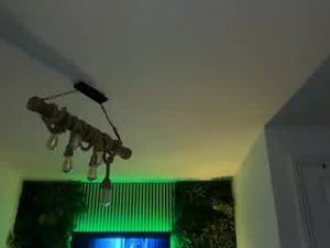 downlowdown's webcam