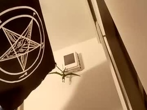 dragonball00325's webcam
