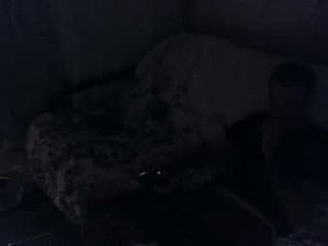 drfeelgoodslab's webcam
