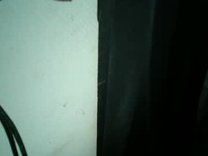 dutchiehaarlem's webcam