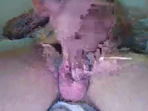 elephant_titus's webcam